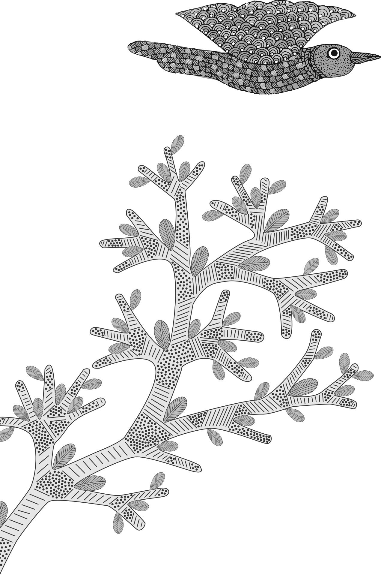 motifs img